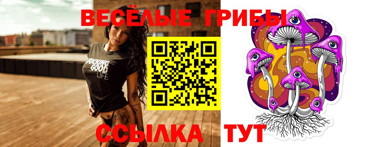 Донецк  Галлюциногенные грибы прущие грибы  Вход с VPN 